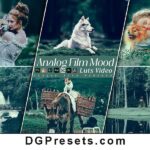 Analog Film Mood Lightroom Presets and Premiere Pro LUTs Free Download Preview