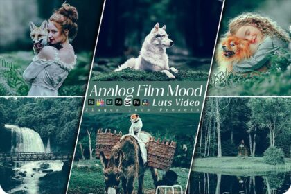Analog Film Mood Lightroom Presets and Premiere Pro LUTs Free Download Preview