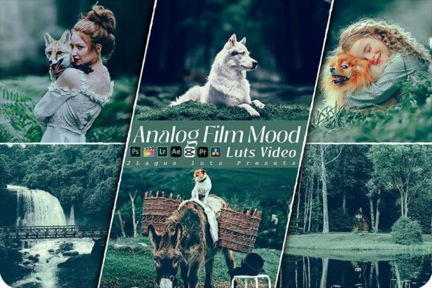 Analog Film Mood Lightroom Presets and Premiere Pro LUTs Free Download Preview