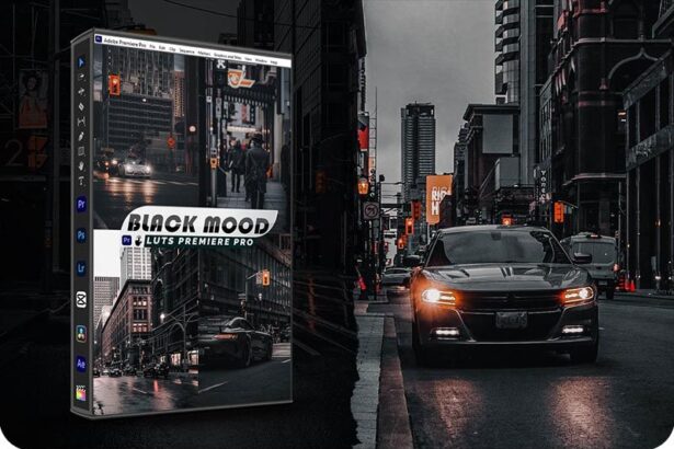 Black Mood Video and Photo Free Premiere Pro LUTs Lightroom Presets Preview