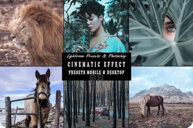 Cinematic Effect Photoshop Action and Lightroom Presets Free Download Preview
