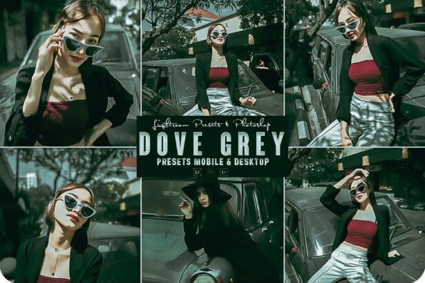 Dove Grey Photoshop Action and Lightroom Presets Free Download Preview