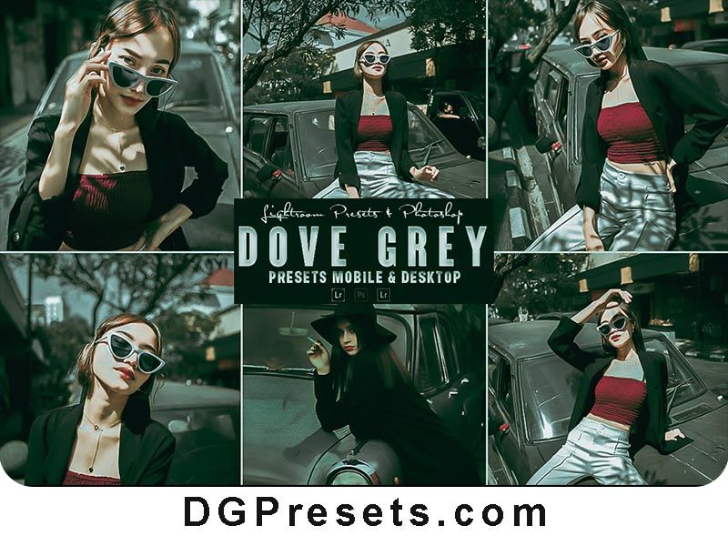 Dove Grey Photoshop Action and Lightroom Presets Free Download Preview