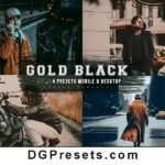 Gold and Black Lightroom Presets Mobile and Desktop Free Download Preview