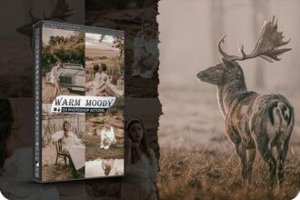 Hot and Moody Photoshop Actions Free Download Preview