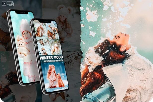 Winter Mood Lightroom Presets Free Download Preview