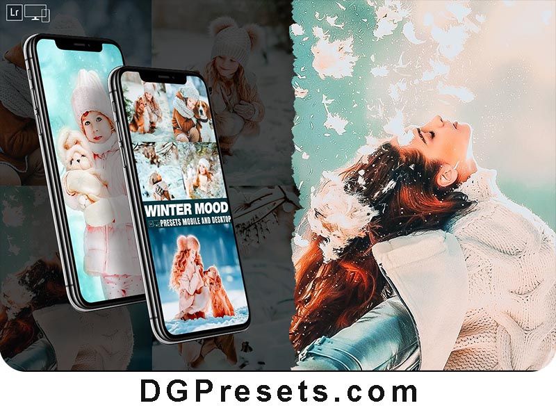 Winter Mood Lightroom Presets Free Download Preview