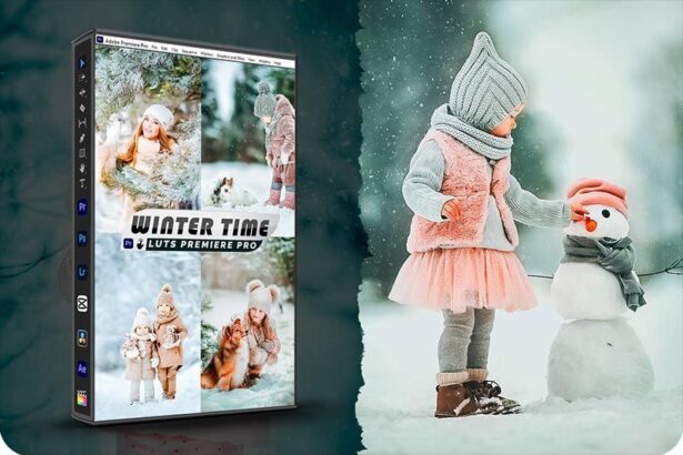 Winter Time Presets and LUTs for Premiere Pro Free Download Preview
