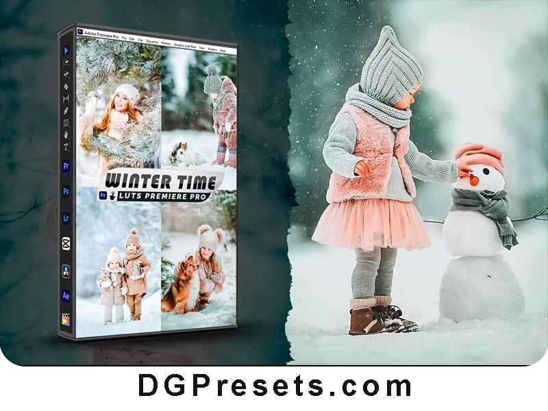 Winter Time Presets and LUTs for Premiere Pro Free Download Preview