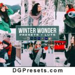 Winter Wonder Presets LUTs Videos Premiere Pro Free Download Preview