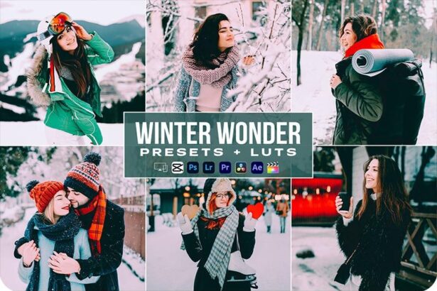 Winter Wonder Presets LUTs Videos Premiere Pro Free Download Preview